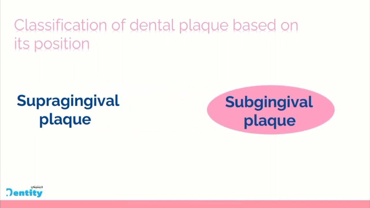periodontology | 4th stage | Dental plaque|  Part 1