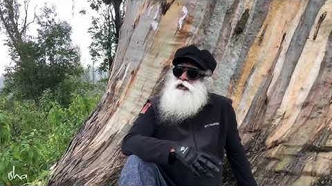 A Dimension Beyond Physical & Psychological Framework - Sadhguru