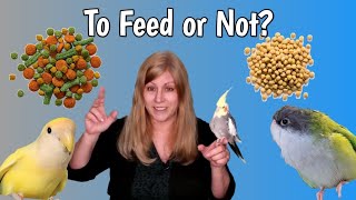 Everything You Must Know About Bird Pellets