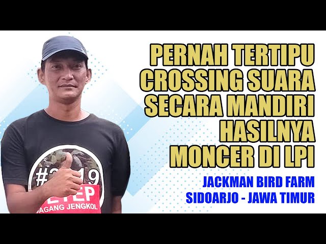 Pernah Tertipu, Crossing Suara Secara Mandiri Hasilnya Malah Moncer di Liga Perkutut Indonesia class=