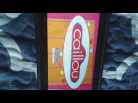 PBS Kids Program Break (2011 WNET-DT2)