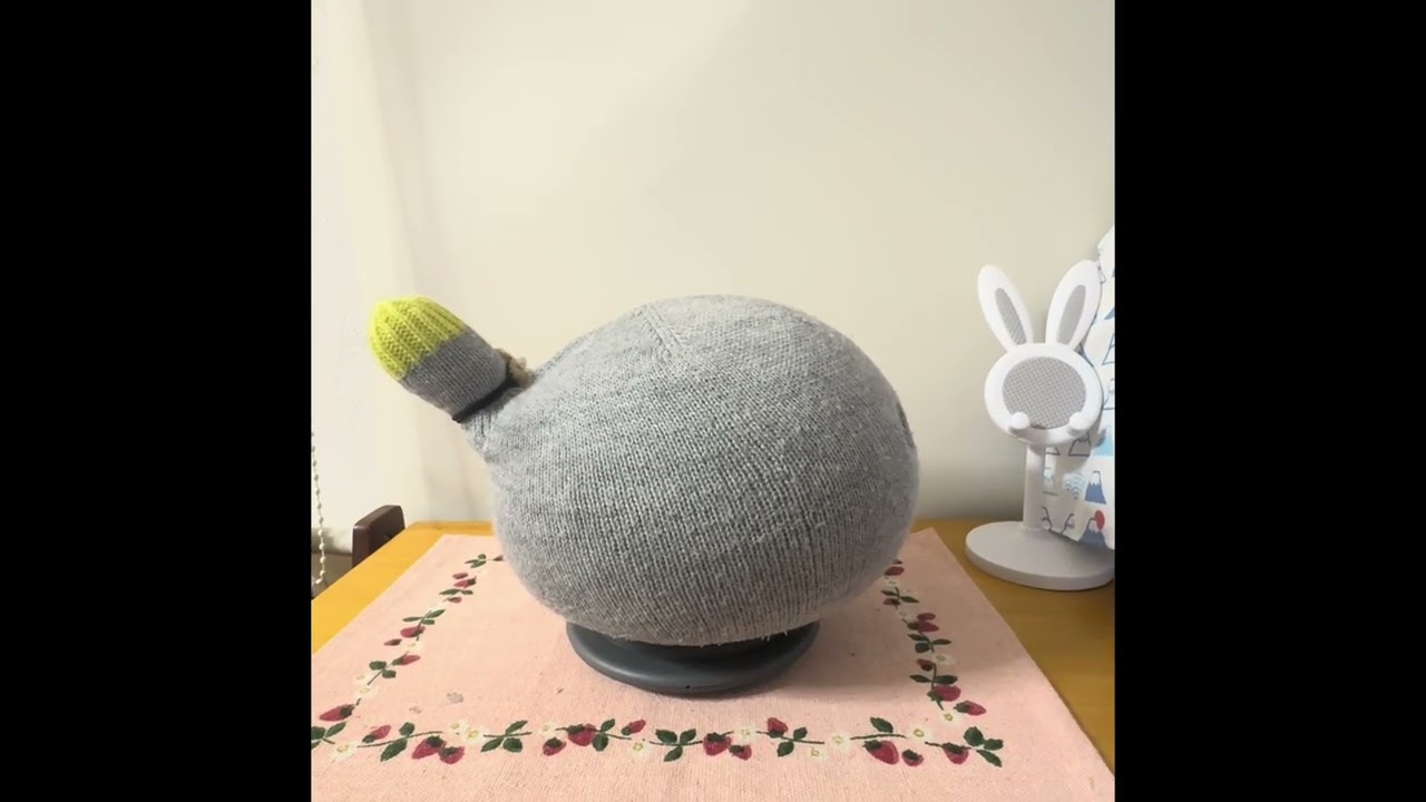 ウチのニコ「雨の音☔思い出せず😔」