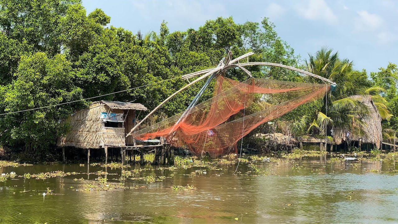 Miệt Thứ Nhất - Kinh Dài, Khám Phá Làng Quê Ở Vùng Gần Biển gần Tết Bính Ngọ 2026