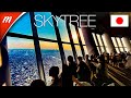 TOKYO WALKING TOURS | A Beautiful Sunset and Night Views from TOKYO SKYTREE