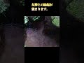 本物の神様の声を聞けた人「㊗️おめでとうございます」今日からとんでもない奇跡が起こり始めます。