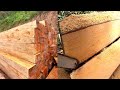 Cutting logs into lumber with Chainsaw|| The Naga way