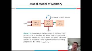 1   The Modal Model