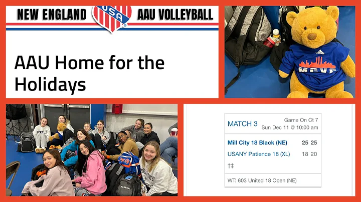 1211 AAU Home Holidays USANY Patience Set 2