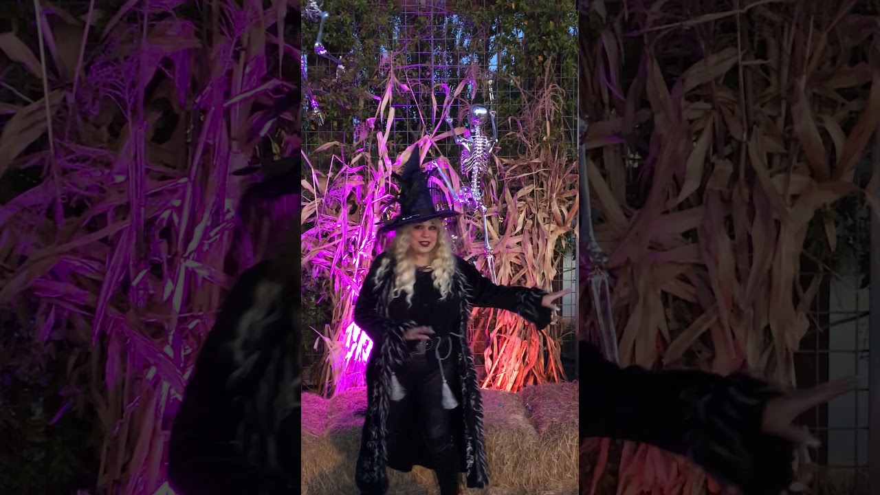 Gilroy Gardens Halloween Nights 10/27/17 YouTube