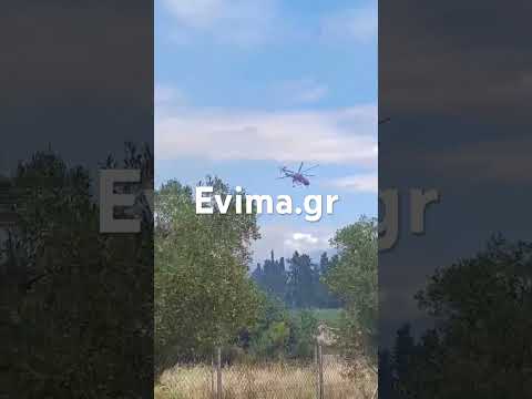 Μεγάλη φωτιά στη Χαλκίδα