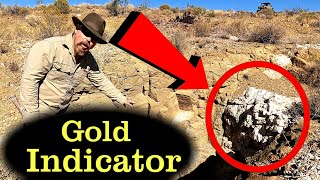 THIS CAN LEAD YOU TO MASSIVE AMOUNTS OF GOLD - Gold Prospecting