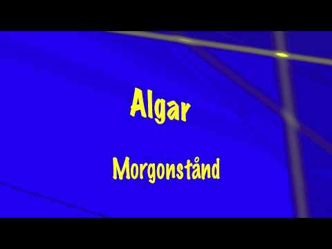 Video: Morgonstånd