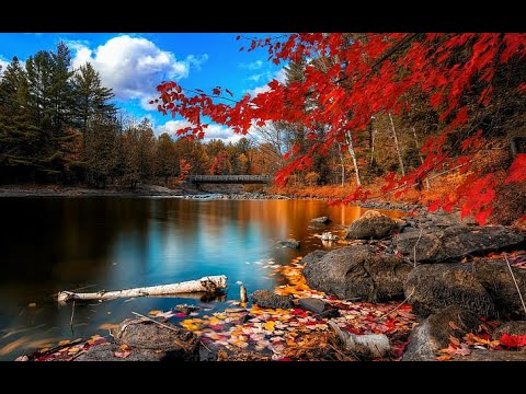 Елена Ваймер Ходить в собрание не значит Бога знать еленаваймер ваймерелена