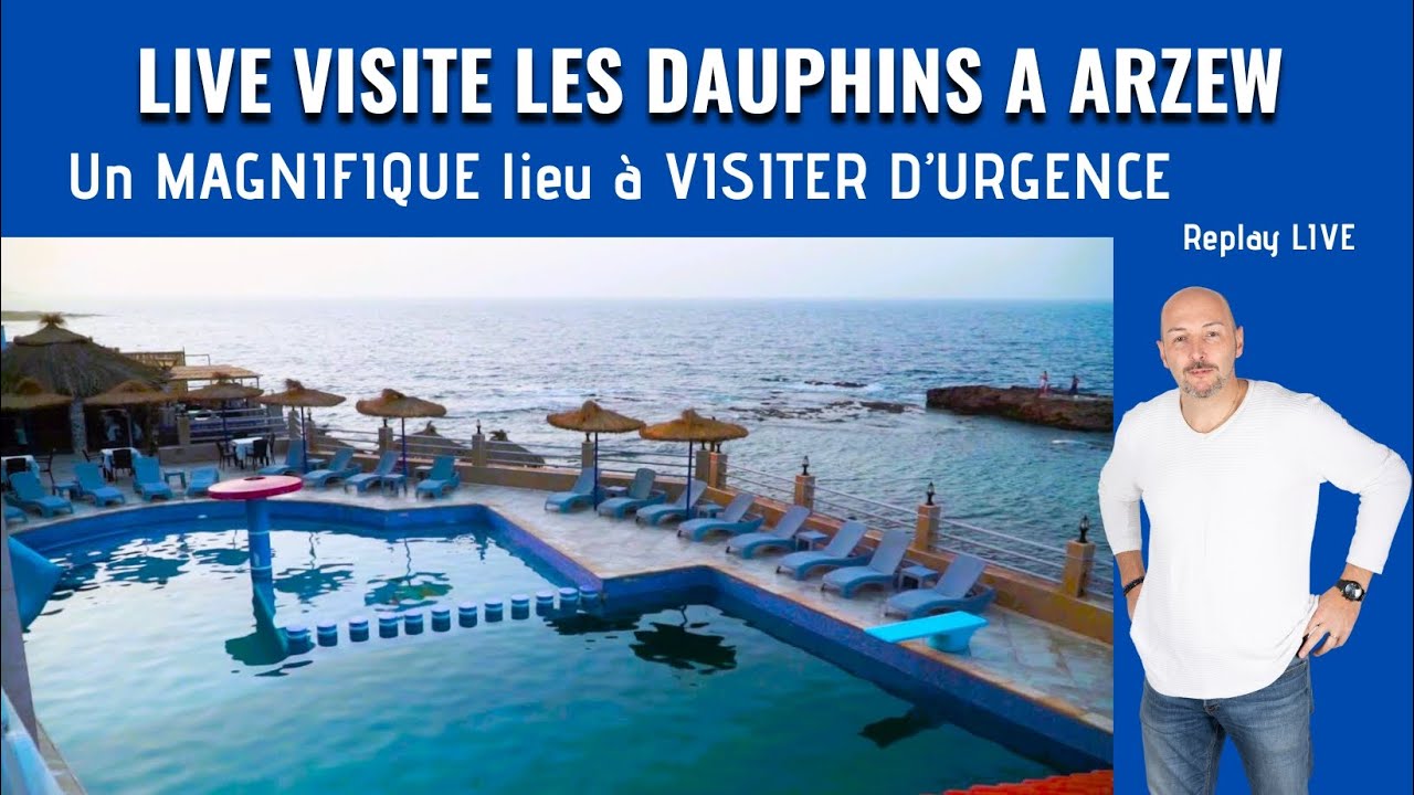 A visiter d'urgence en Algérie Les Dauphins à Arzew Un lieu unique et