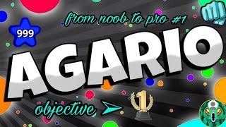 solo agar.io : from noob to pro #1