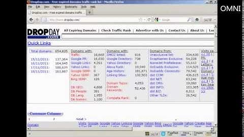 How to Find Quality Expired Domain Names