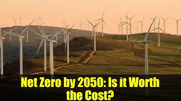 Net Zero by 2050: Is it Worth the Cost? | Climate Change Debate