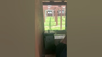 Sig MPX-k with Wolfman