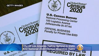 City Of Los Angeles Falling Behind State, National 2020 Census Response Rates