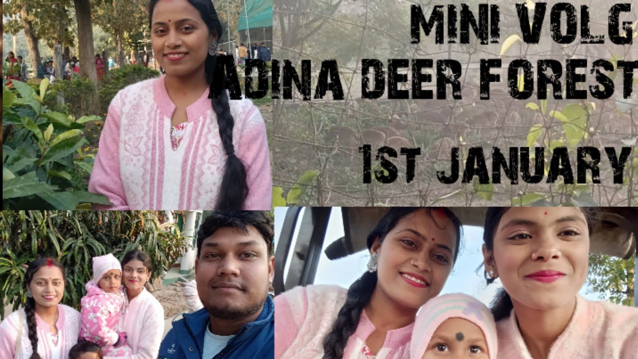 Adina deer park || adina forest || 1st january ||  videos || Mini Vlogs|| 
