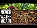 4 Buried Wood Tricks That Build 20-Year Self-Watering Soil (Based on Science)
