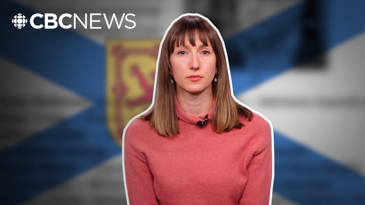 What is a domestic violence death review committee?