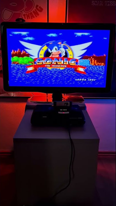SONIC THE HEDGEHOG on the Sega Mega Drive
