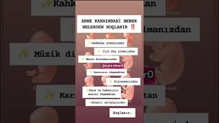 Anne Karnında Ki Bebek Nelerden Hoşlanır ?