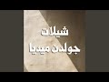 افراح الهقشان حفل عيد فارس الهقشان 