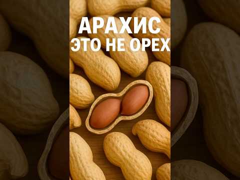 Арахис это не орех #хочуфакты #факты #shorts #shortvideo #food #facts #еда