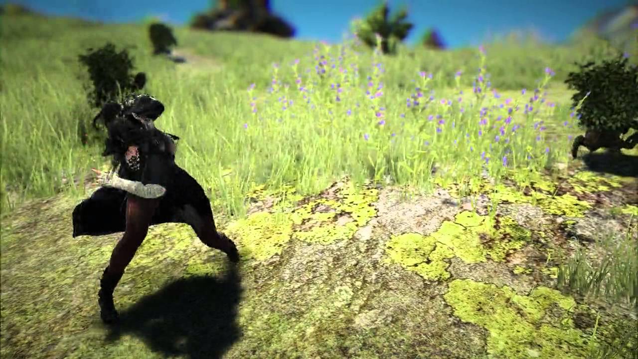 Black Desert Sorc Guide Black Desert Online Sorcerer Training and AoE Leveling HD Helmet