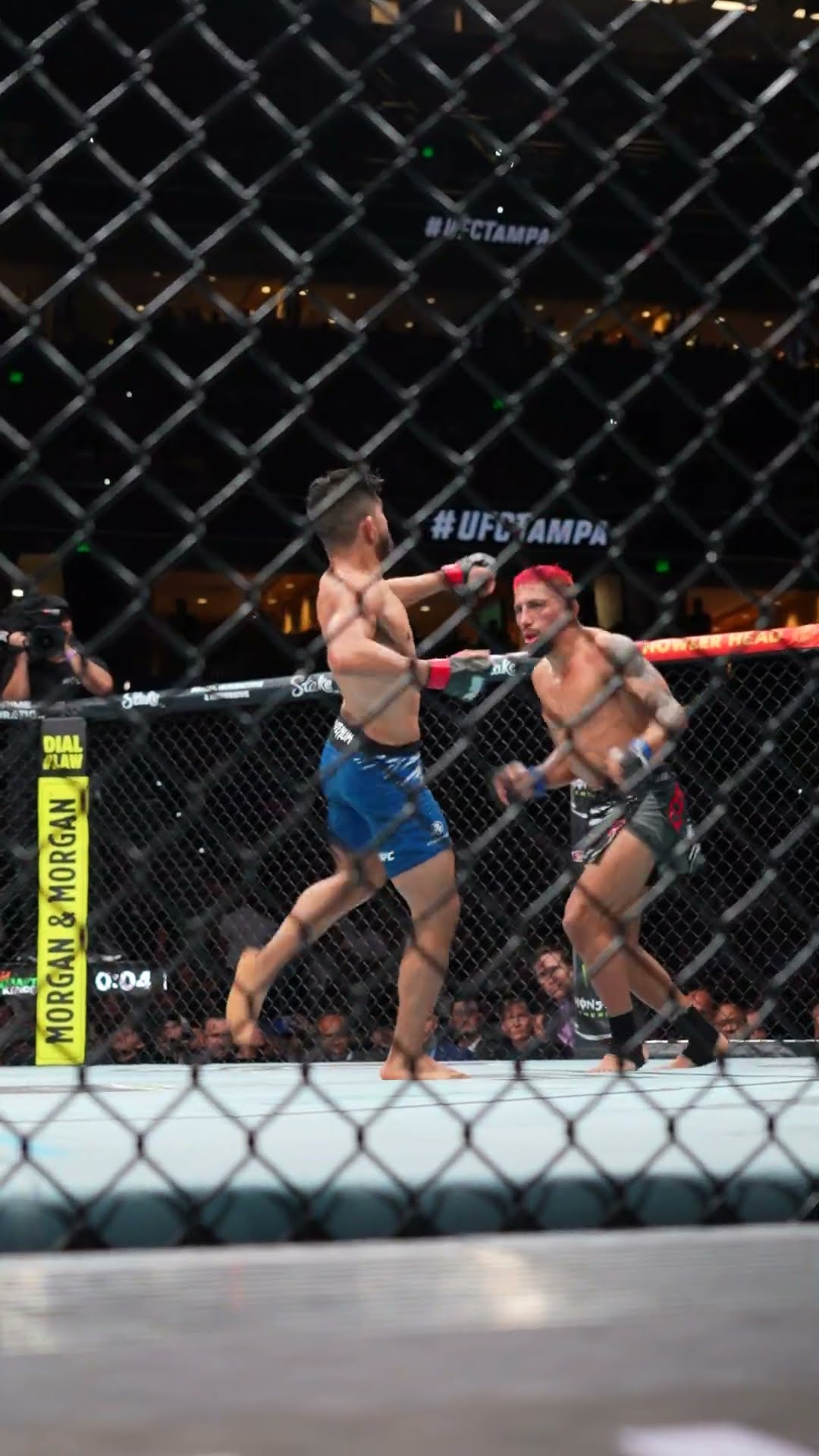 WHAT. A. FIGHT. ? #ufctampa