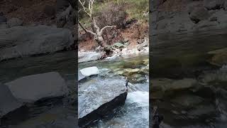 Buz Gibi Suyu Ile Hasanboğuldu Şelalesi Kazdağları Ğuldu