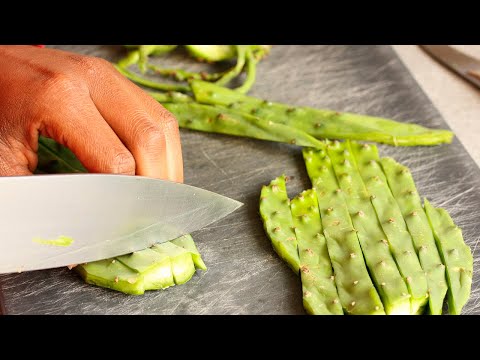 EL AGAVE O MAGUEY | FunnyCat.TV EL AGAVE O MAGUEY | FunnyCat.TV