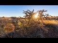 Photography Tutorial: How To Get A Sun Star Effect In Camera