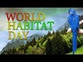 World habitat day