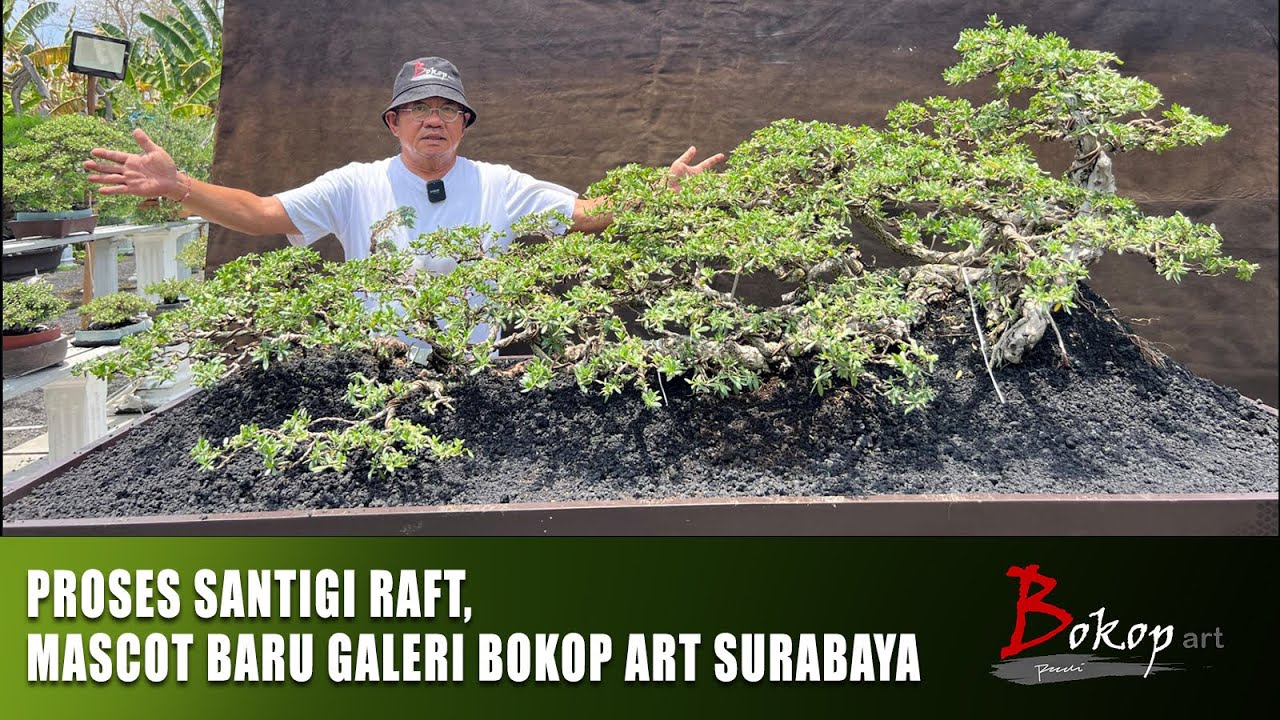 PROSES SANTIGI RAFT, MASCOT BARU GALERI BOKOP ART SURABAYA