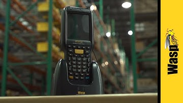 Wireless Mobile Computer and Barcode Scanner - DT90 | Wasp Barcode Technologies