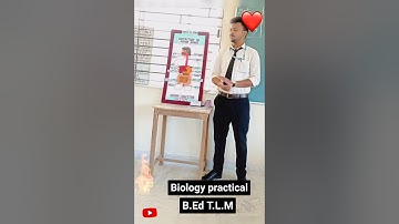 #Biology practical  #biologypractical #tlm #life science 🔬 #Respiratory system #Neurones #shorts