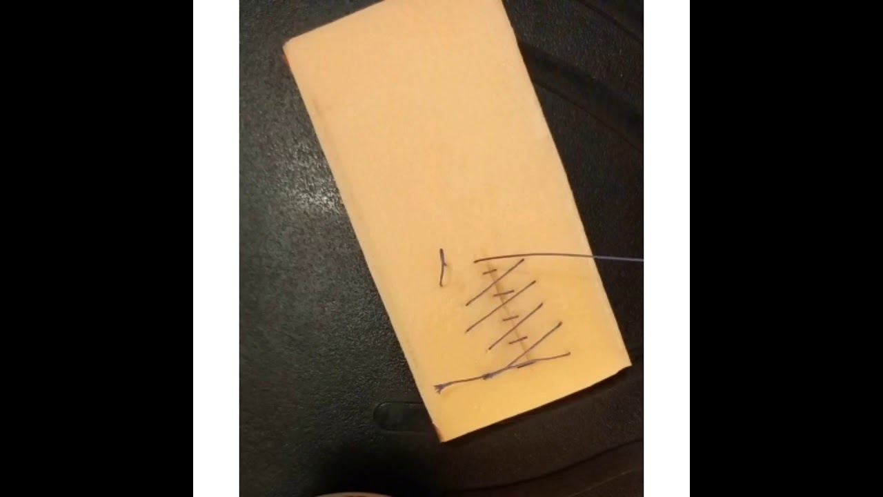 Sutura de Lembert Invaginada, Lembert continua, Lembert simple y Halsted