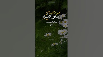 القارئ سلمان العتيبي - سورة الأحزاب (آية ٥٦)