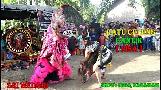 JARANAN!!!RATU CELENG CANTIK DUET BARONGAN DEVIL/NISA/SRI WEDARI/lubuk cuik.