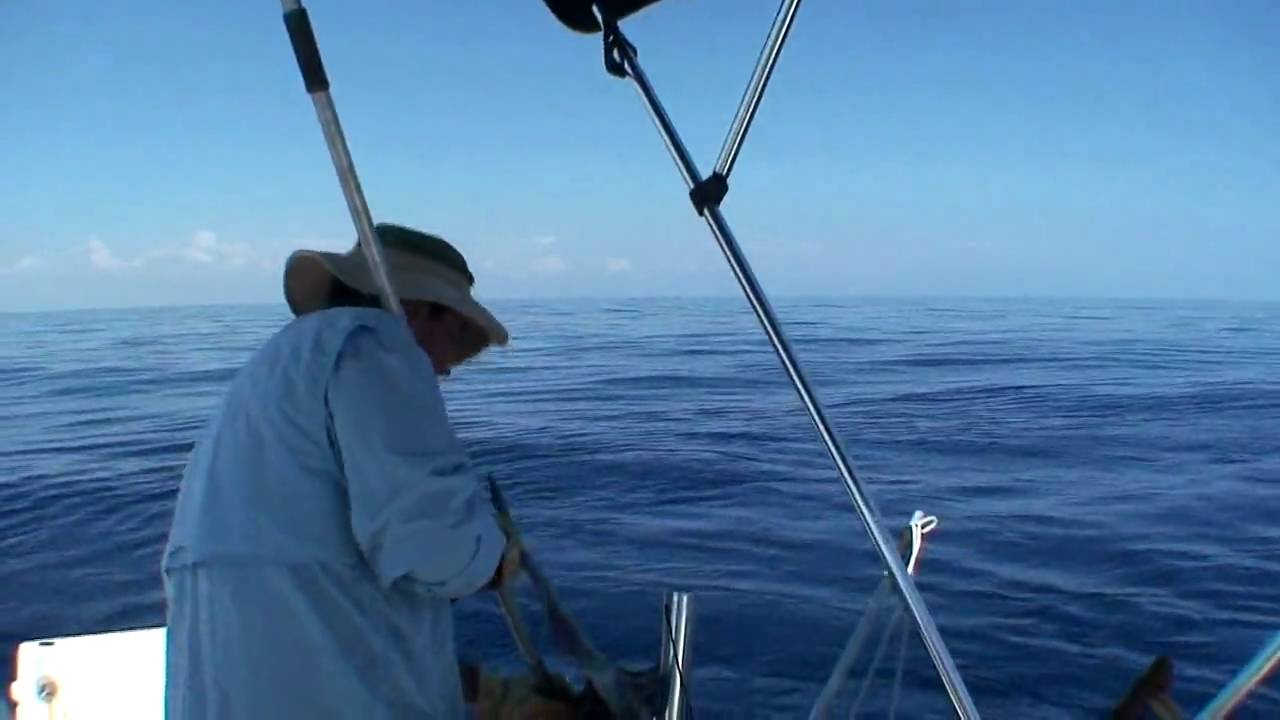 Graham Goodwin Sword Fishing 200lb Sword Fish YouTube