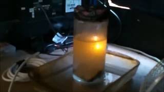 Nuclear Fusion Reaction using Plasma Electrolysis