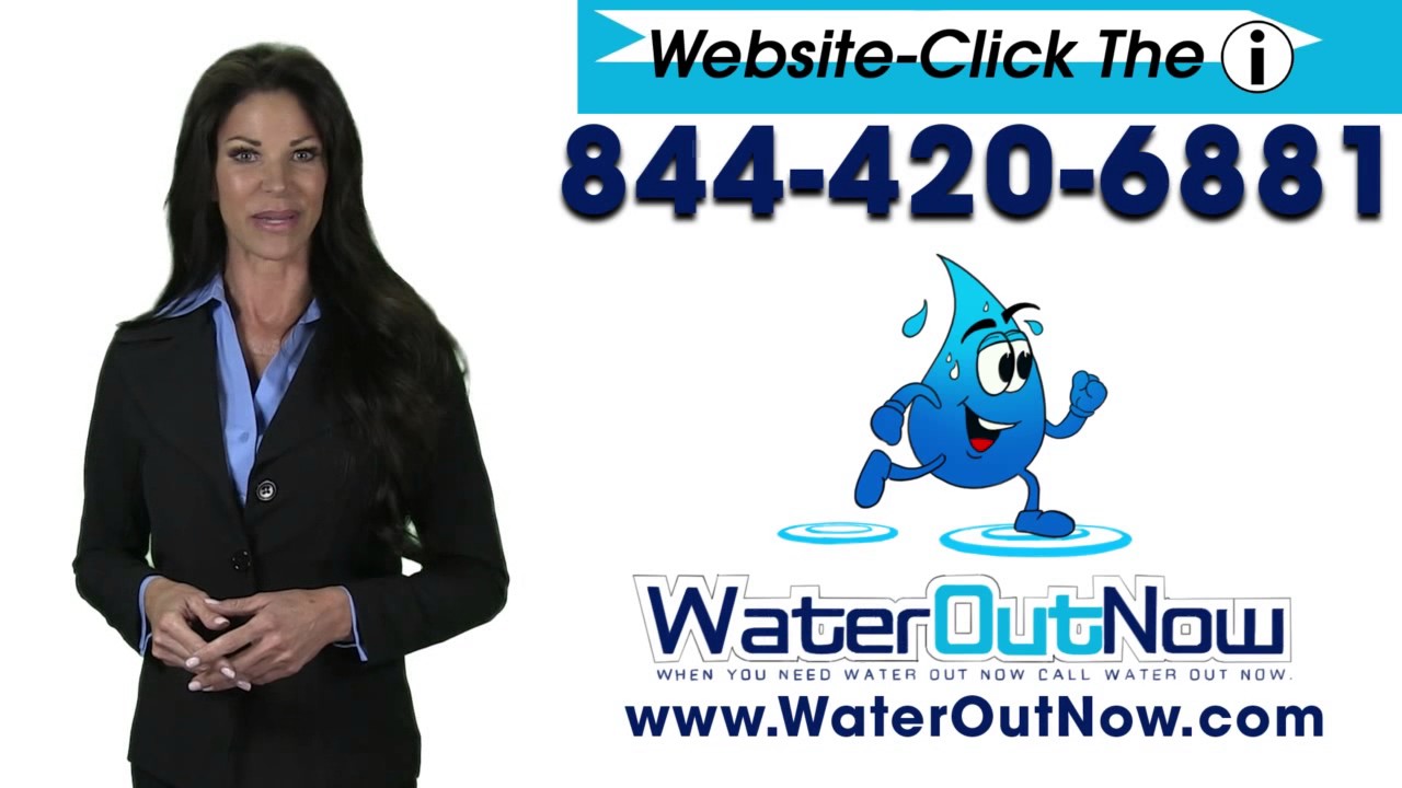 Water and Mold Remediation in Columbus Ohio  | Water Out Now The Best Water Removal Team