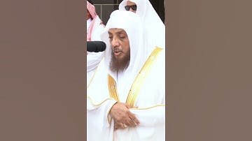 تلاوة مرئية | سورة الماعون | الشيخ أسامة خياط