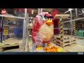 Red Timelapse - LEGO The Angry Birds Movie - Mini Movie