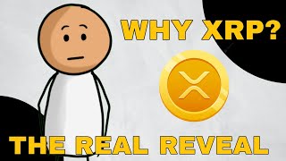 Why God Showed You Xrp And What You Still Dont Realize Yet