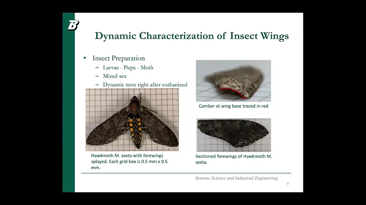 Design and Additive Manufacturing of Dynamically S...