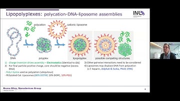 CFTC seminar: Lipid and polymer-based nanoparticles for gene delivery: using colloidal science...